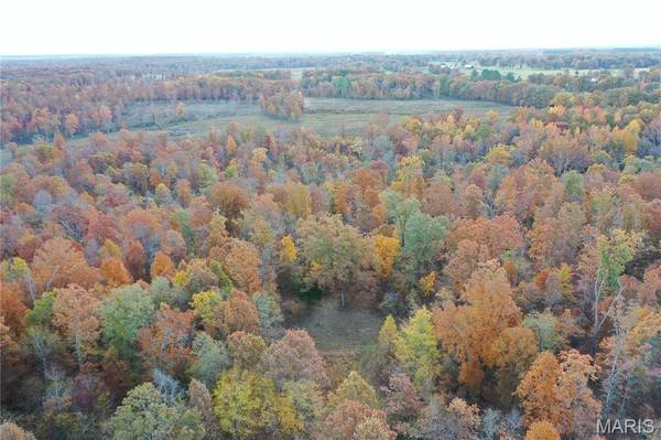 TBD Tract 3 Bobwhite Lane, Fairdealing, MO 63939