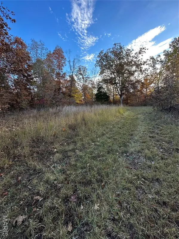 TBD Tract 2 Bobwhite Lane, Fairdealing, MO 63939