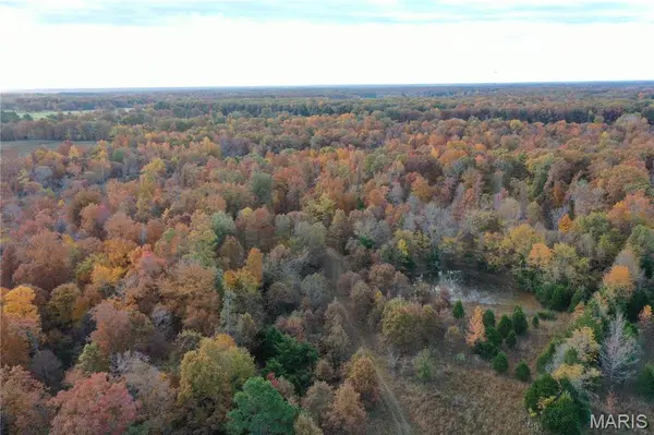 TBD Tract 2 Bobwhite Lane, Fairdealing, MO 63939