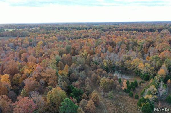 TBD Tract 2 Bobwhite Lane, Fairdealing, MO 63939
