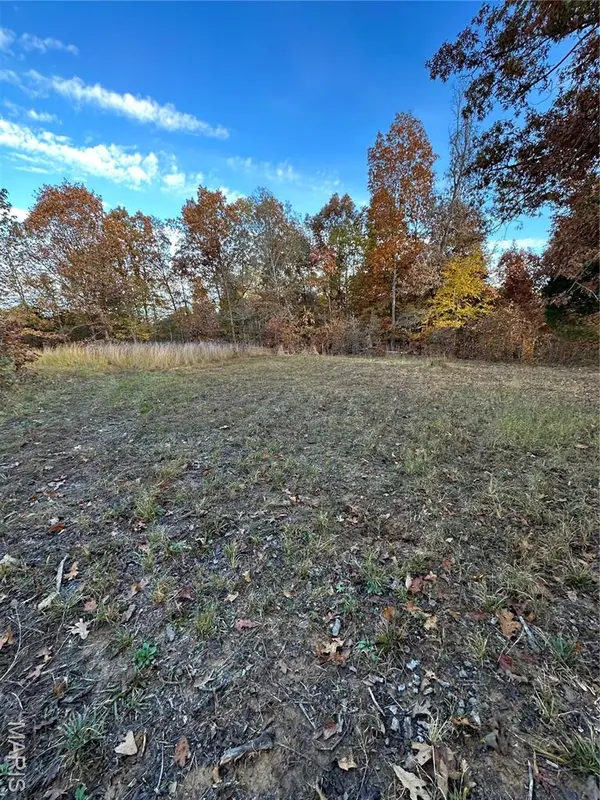 TBD Tract 2 Bobwhite Lane, Fairdealing, MO 63939
