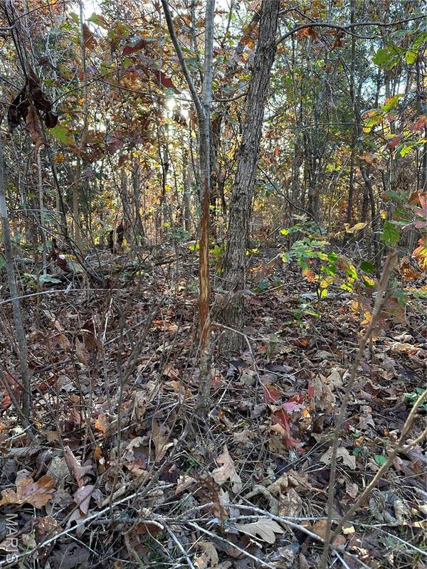 TBD Tract 5 Bobwhite Lane, Fairdealing, MO 63939