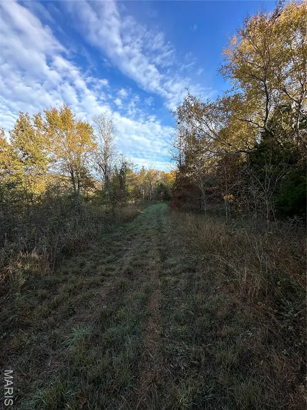 TBD Tract 4 Bobwhite Lane, Fairdealing, MO 63939