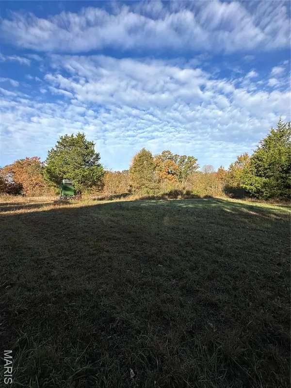 TBD Tract 4 Bobwhite Lane, Fairdealing, MO 63939
