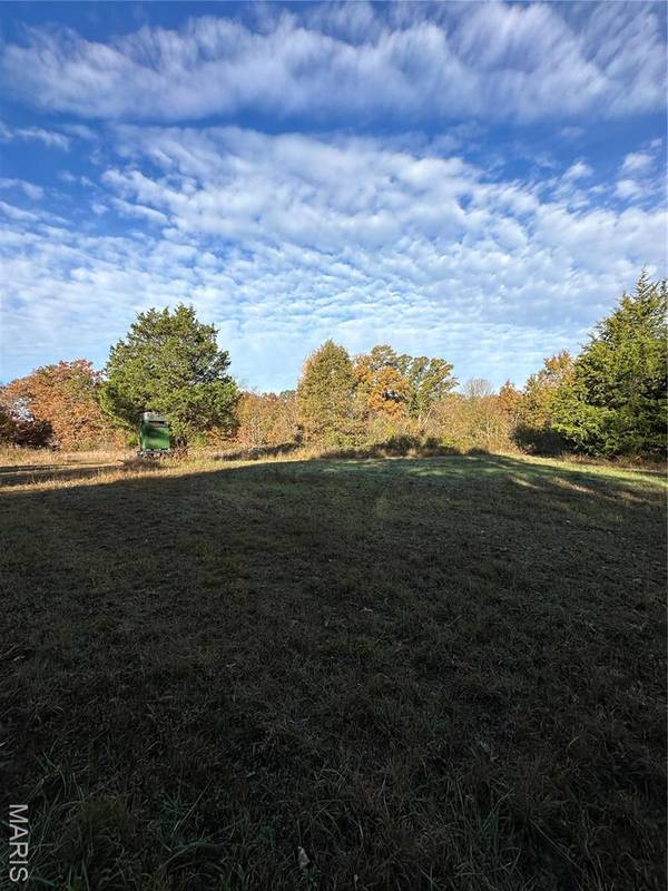 TBD Tract 4 Bobwhite Lane, Fairdealing, MO 63939