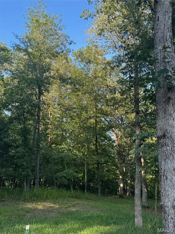 190 Steeple Point Dr. Lot #6 DR, Defiance, MO 63341