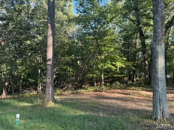 180 Steeple Point Dr. Lot #7 DR, Defiance, MO 63341