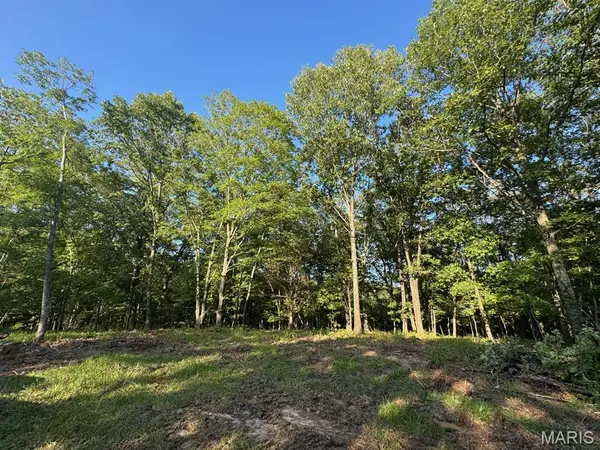 160 Steeple Point DR. Lot #9 DR, Defiance, MO 63341