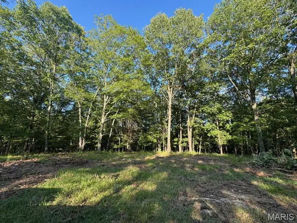 160 Steeple Point DR. Lot #9 DR, Defiance, MO 63341