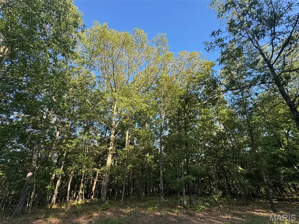 150 Steeple Point Dr. Lot #10 DR, Defiance, MO 63341