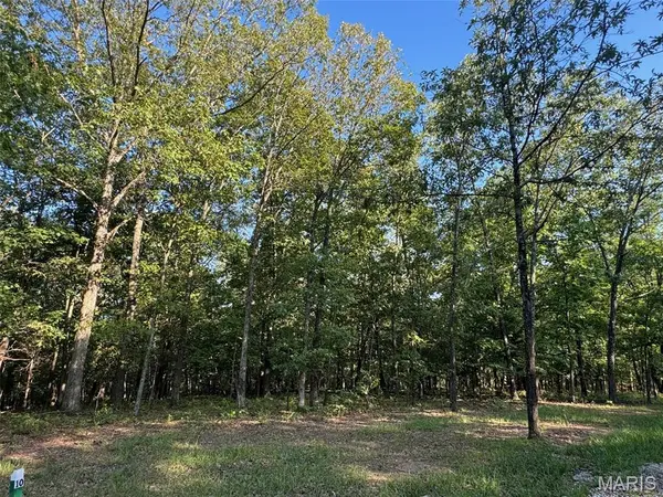 150 Steeple Point Dr. Lot #10 DR, Defiance, MO 63341