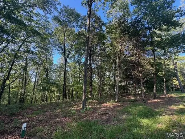 130 Steeple Point Dr. Lot #12 DR, Defiance, MO 63341