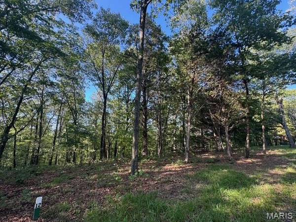 130 Steeple Point Dr. Lot #12 DR, Defiance, MO 63341