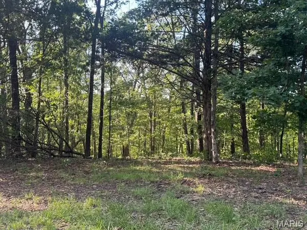 130 Steeple Point Dr. Lot #12 DR, Defiance, MO 63341