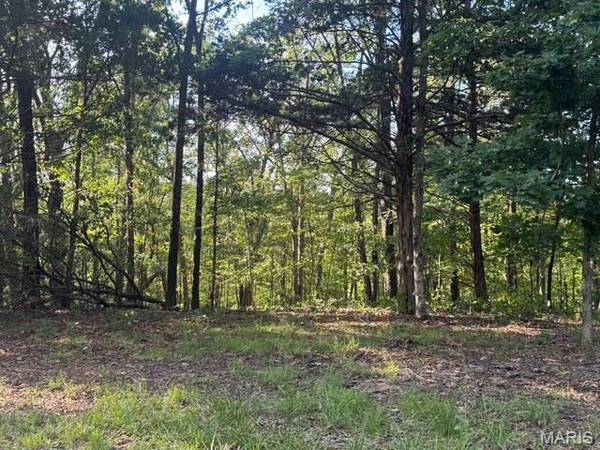 130 Steeple Point Dr. Lot #12 DR, Defiance, MO 63341