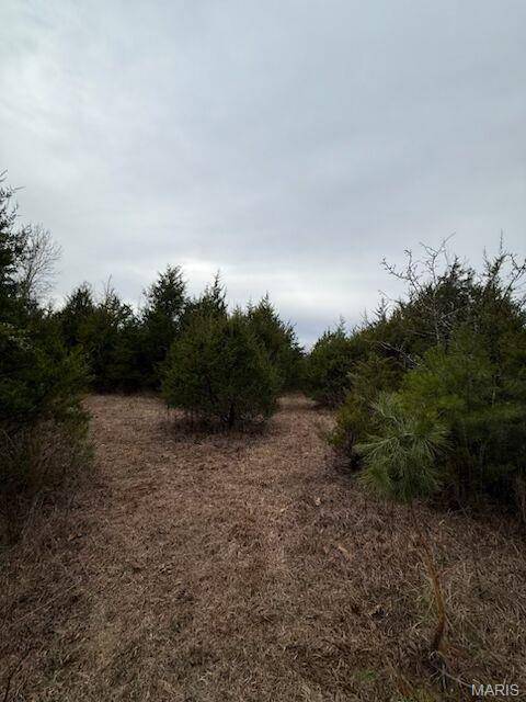 5387 Hurryville RD, Farmington, MO 63640