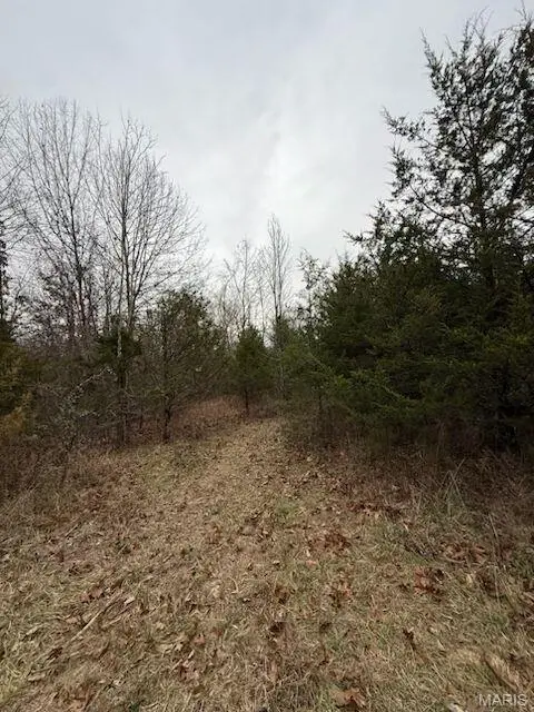 5387 Hurryville RD, Farmington, MO 63640
