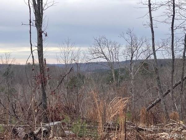 181 Madison CR 410, Fredericktown, MO 63645