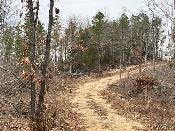 181 Madison CR 410, Fredericktown, MO 63645