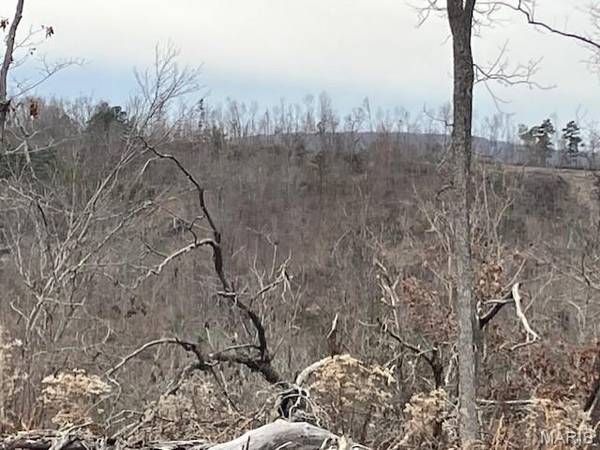 182 Madison CR 410, Fredericktown, MO 63645