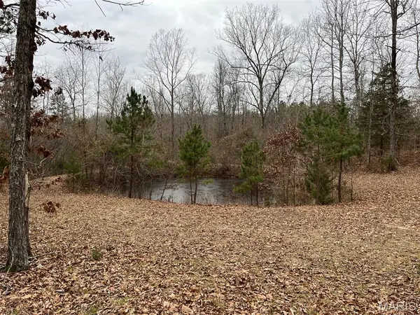 0 Wayne 443, Piedmont, MO 63957