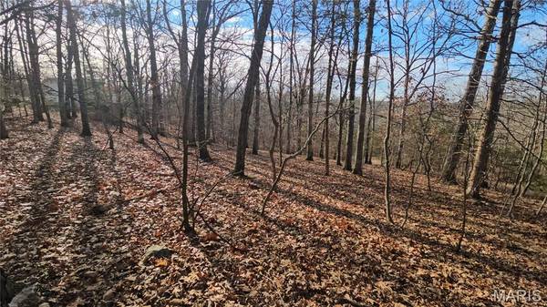 774A Village Green DR, Lake Sherwood, MO 63357