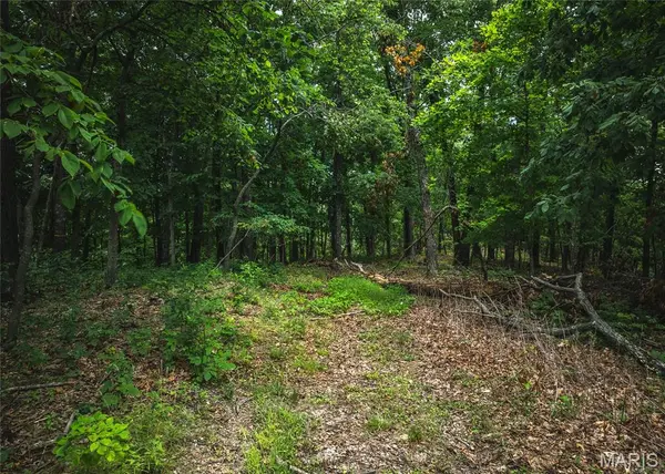 1 Trails Ends Trail, House Springs, MO 63051