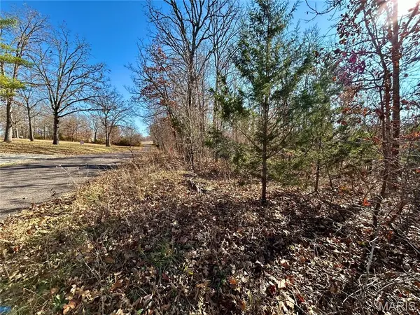 Lots 12-17 County Road 4253, Salem, MO 65560