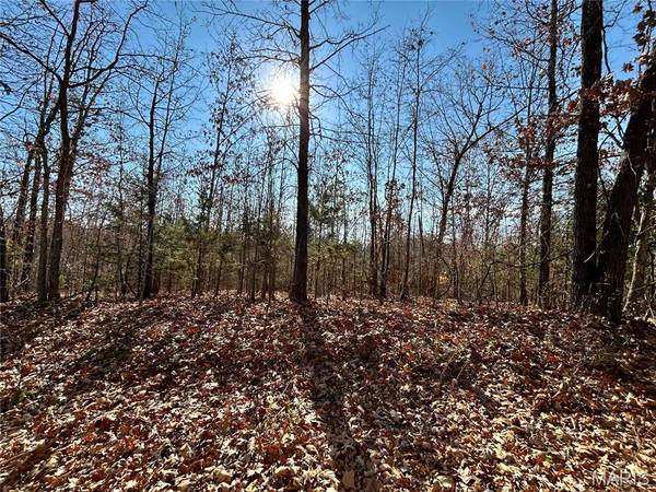 Lots 12-17 County Road 4253, Salem, MO 65560