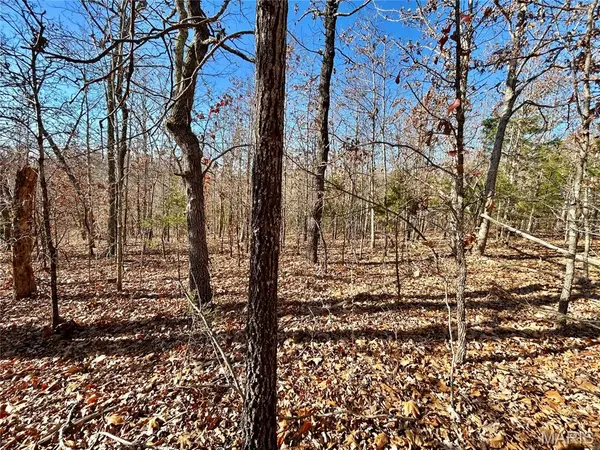 Lots 12-17 County Road 4253, Salem, MO 65560