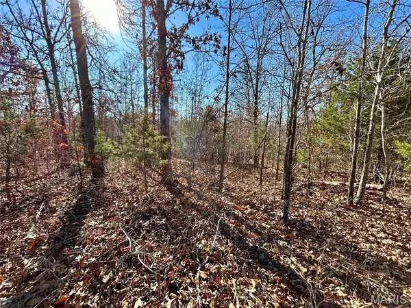 Lots 12-17 County Road 4253, Salem, MO 65560