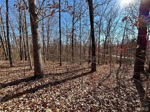 Lots 12-17 County Road 4253, Salem, MO 65560