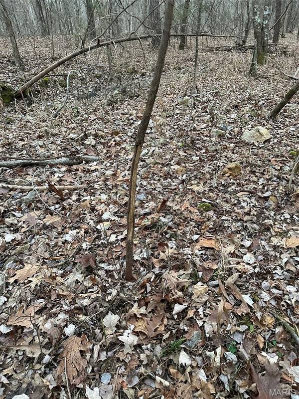 TBD Lot 4 Timberlane Estate Subdivision, Doniphan, MO 63935