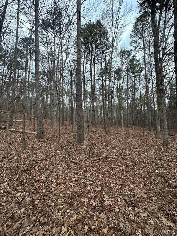 TBD Lot 4 Timberlane Estate Subdivision, Doniphan, MO 63935