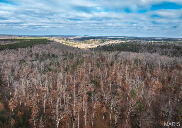 65.86 +/- County Road 2120, Rolla, MO 65401