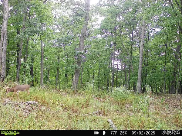 000 County Road 4055, Portland, MO 65069
