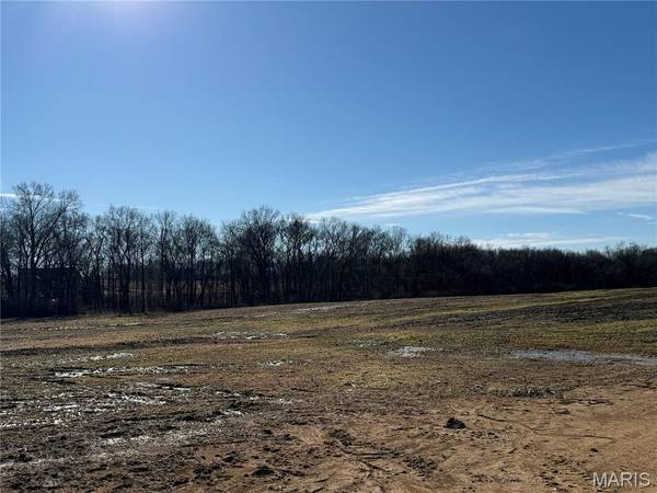 305 Timberline Ct. Lot 11, Eolia, MO 63344