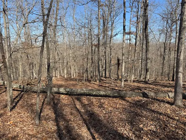 Lot EE&EE(S) Hidden Valley Lakes, Annapolis, MO 63620