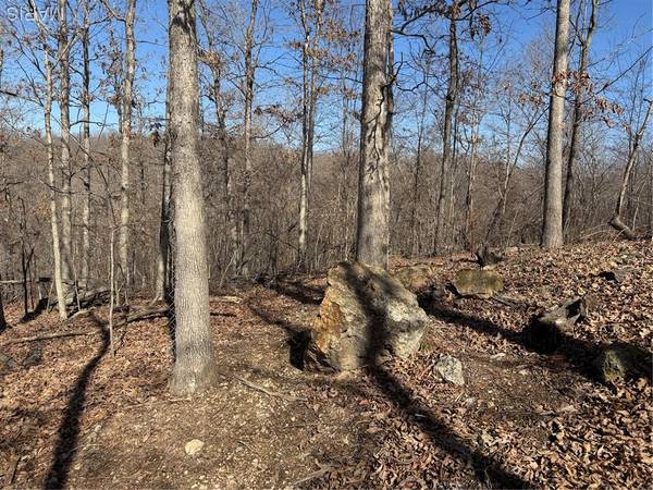 1003 Hidden Valley LKS, Annapolis, MO 63620