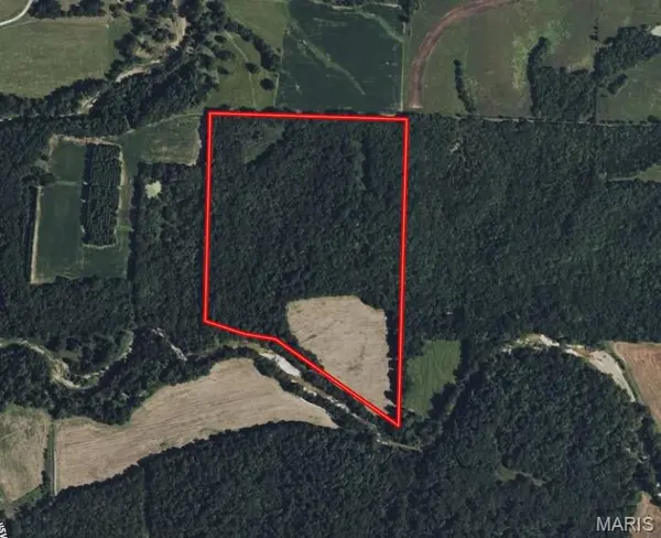 53+/- Acres Louisville RD, Bowling Green, MO 63334