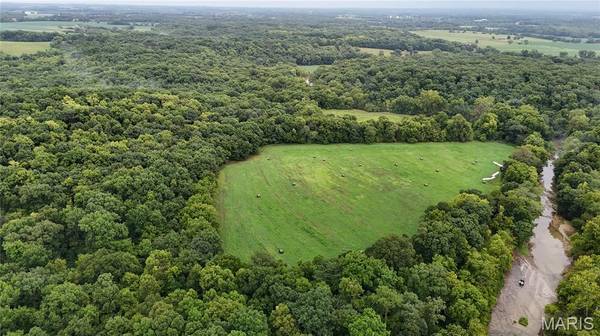 53+/- Acres Louisville RD, Bowling Green, MO 63334