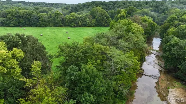 53+/- Acres Louisville RD, Bowling Green, MO 63334