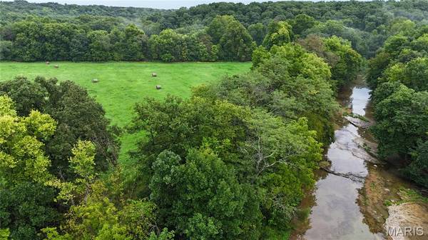 53+/- Acres Louisville RD, Bowling Green, MO 63334