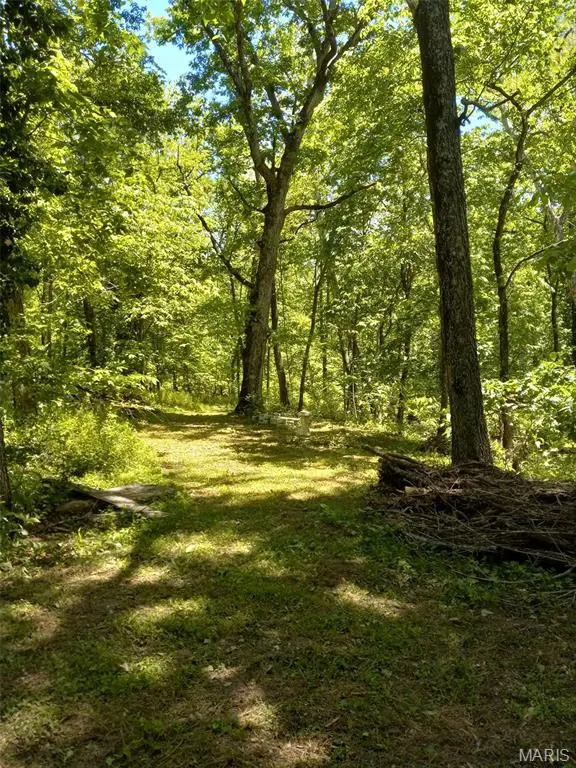 1100 Hattie Drive, Other, MO 65793