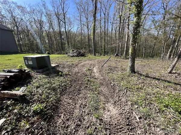 100 Jabin Farm RD, Wright City, MO 63390