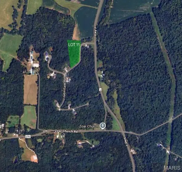 100 Jabin Farm RD, Wright City, MO 63390