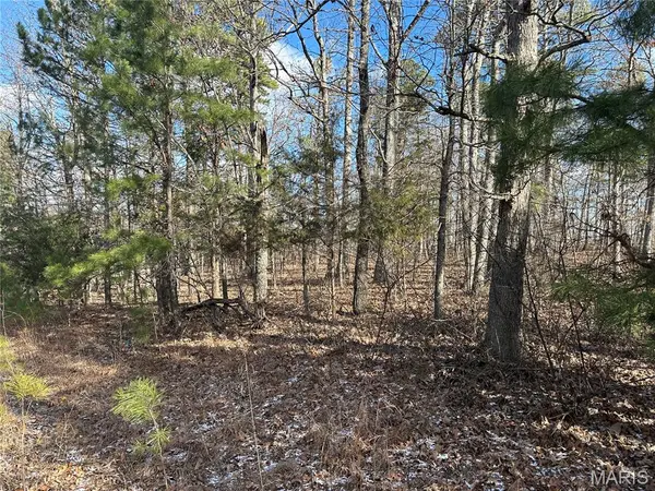 0 Highway 72, Bunker, MO 63629