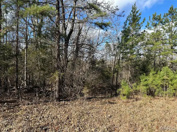 0 Highway 72, Bunker, MO 63629