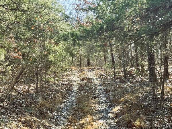 0 Tower Drive, Unincorporated, MO 65589