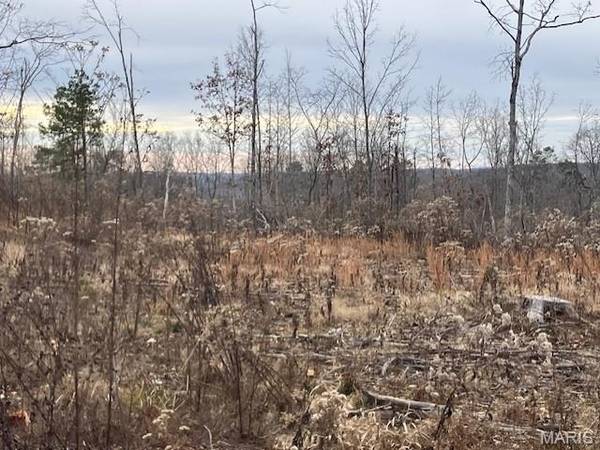 188 Madison CR 410, Fredericktown, MO 63645
